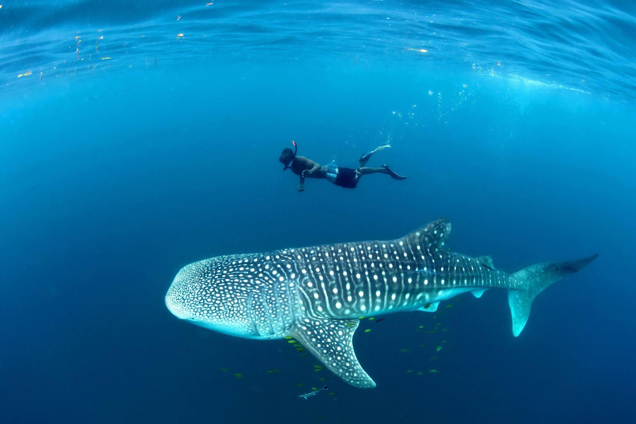Explore Tanzania beach tours