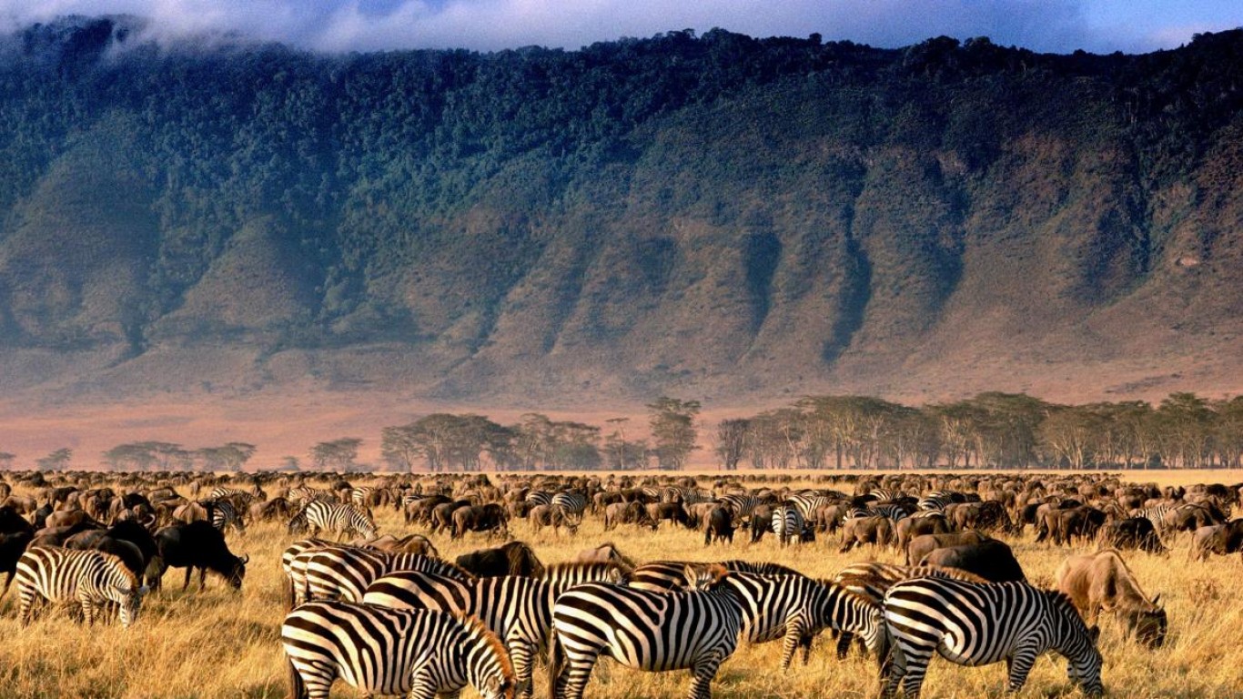 Ngorongoro Crater Day Safari Tanzania