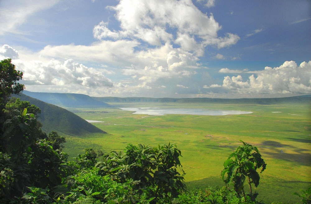 Which Tanzania Safari Destination Should You Visit?