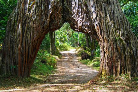 Arusha-National-Park-Tanzania-safari-1