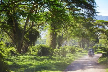 Arusha-National-Park-Tanzania-safari-4