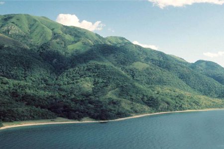 Gombe Stream National Park 1