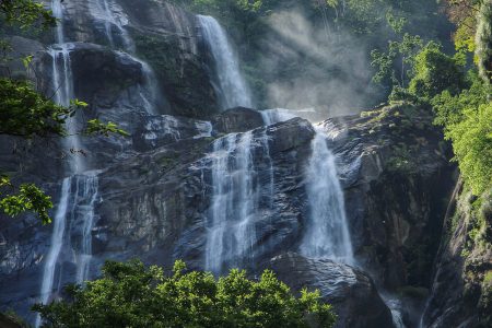 Gombe Stream National Park 2