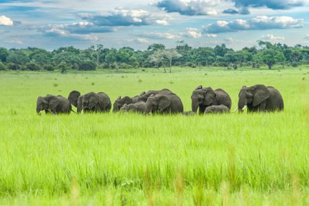 Katavi-National-Park-Tanzania-safari-1