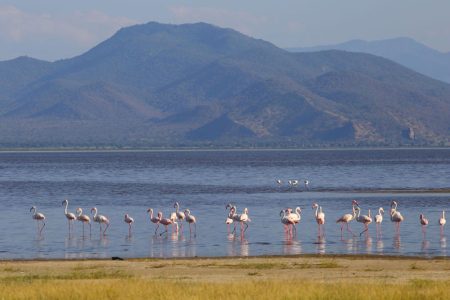 Lake-Manyara-Tanzania-Safari-Destination-2