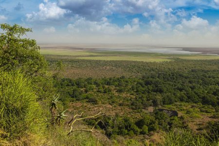 Lake-Manyara-Tanzania-Safari-Destination-3