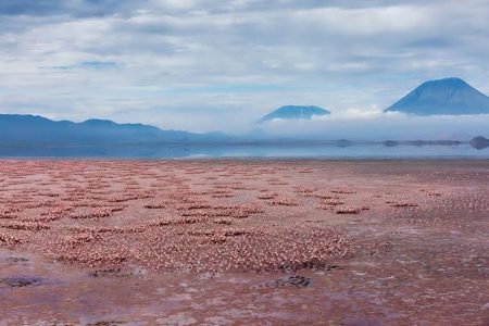 Lake Natron 1