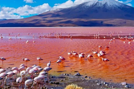 Lake Natron 5