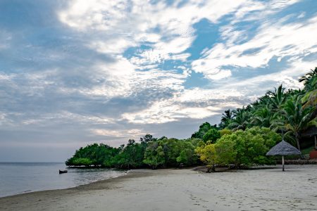 Mafia Island 3
