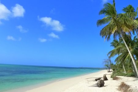 Mafia Island 5
