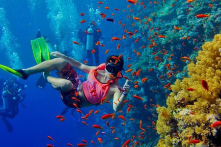 Mafia Island Diving 1