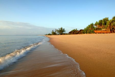 Saadani Beach 1