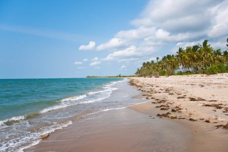 Saadani Beach 2