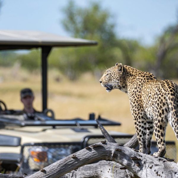 Tanzania-Safari-Destination