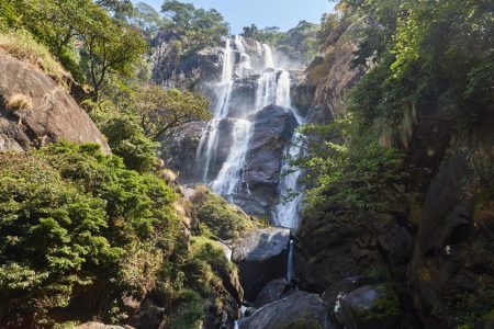 Udzungwa-Mountains-National-Park-Tanzania-Safari-1