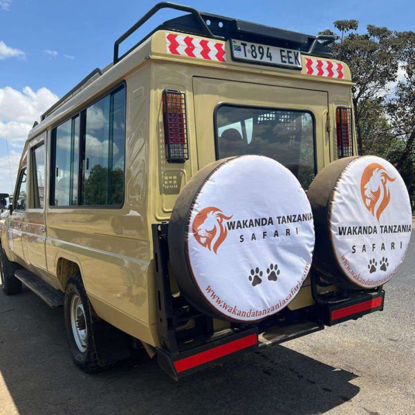 Wakanda-Tanzania-Safari-1