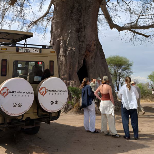 Wakanda-Tanzania-Safari-2